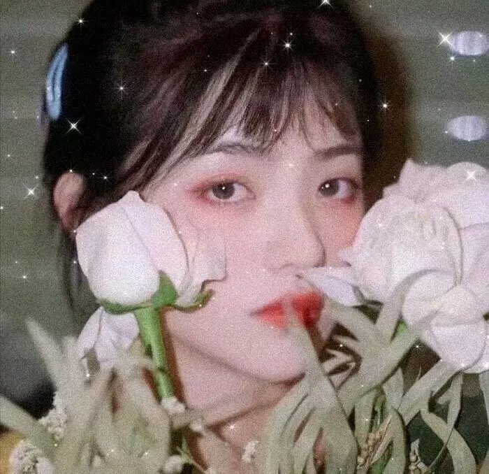 影城春光